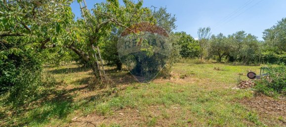 5 rooms Villa in Velletri, Italy No. 293615 45