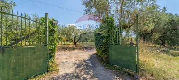 5 rooms Villa in Velletri, Italy No. 293615 50