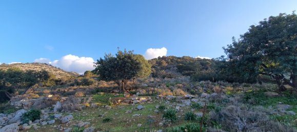 Terreno de 2 divisões em Malia, Greece N.º 93596 2