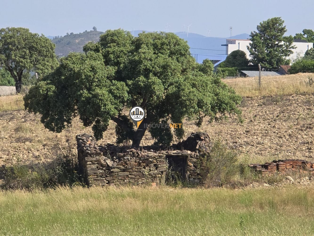 Terrain à Salgueiro do Campo, Portugal No. 193766