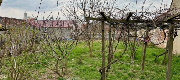  Land in Gaubitsch, Austria No. 158894 3