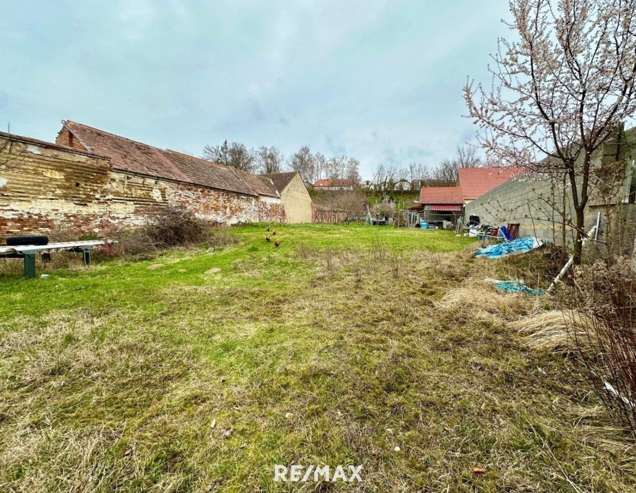  Land in Gaubitsch, Austria No. 158894