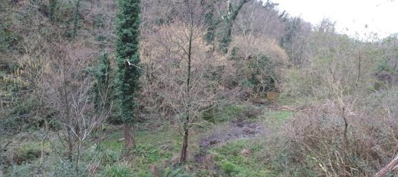 17 rooms House in Pistoia, Italy No. 114086 5