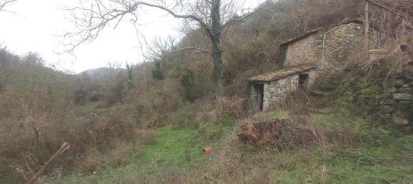 17 rooms House in Pistoia, Italy No. 114086 4