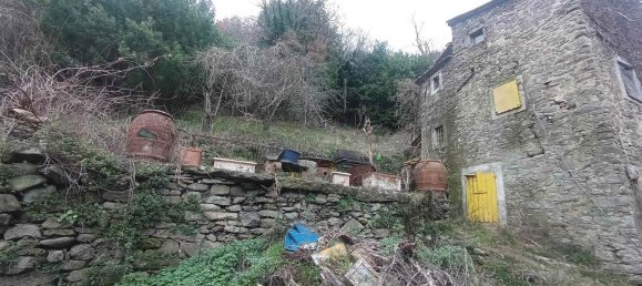 17 rooms House in Pistoia, Italy No. 114086 37