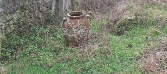 17 rooms House in Pistoia, Italy No. 114086 7