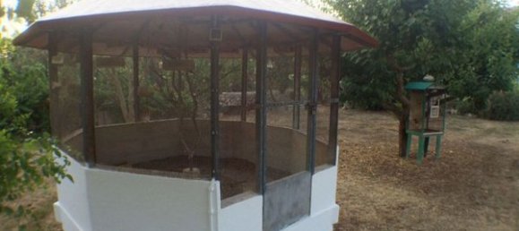 Дом с 3 спальнями в Менорка, Испания № 81051 5