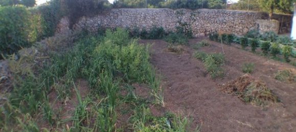 Дом с 3 спальнями в Менорка, Испания № 81051 4