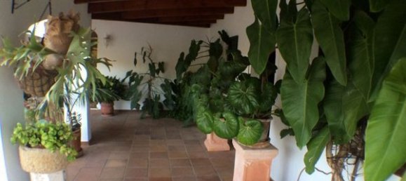 Дом с 3 спальнями в Менорка, Испания № 81051 7