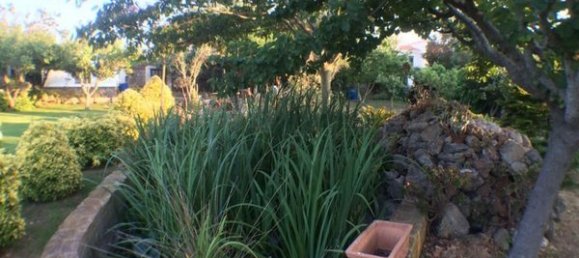 Дом с 3 спальнями в Менорка, Испания № 81051 6