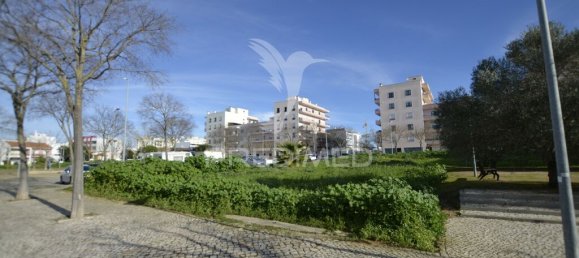 2579m² Land in Loule, Portugal No. 66188 6