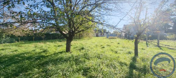 1 bedroom House in Athee-sur-Cher, France No. 159519 8