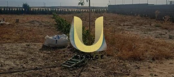 2700m² Land in Fuentiduena de Tajo, Spain No. 178901 9