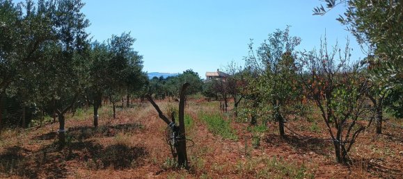 3 غرف نوم منزل في Santa Margherita di Belice, Italy رقم 372307 18