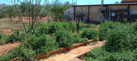 3 غرف نوم منزل في Santa Margherita di Belice, Italy رقم 372307 14