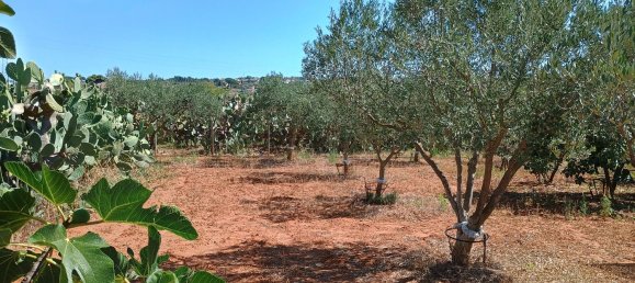 3 غرف نوم منزل في Santa Margherita di Belice, Italy رقم 372307 13