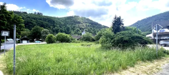  Land in Neuwied, Germany No. 291344 4