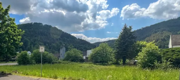  Land in Neuwied, Germany No. 291344 3