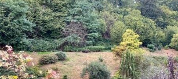 Estudio en Saarpfalz, Germany No. 10728 3