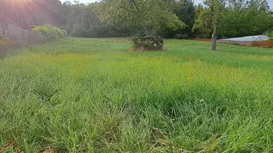  Land in St. Polten, Austria No. 13375