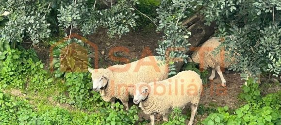 Дом с 4 спальнями в Моншики, Португалия № 100260 50