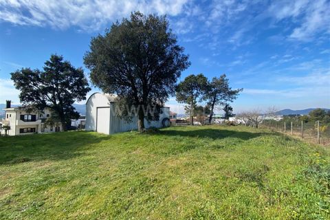 Terreno en Barcelos, Portugal No. 202262