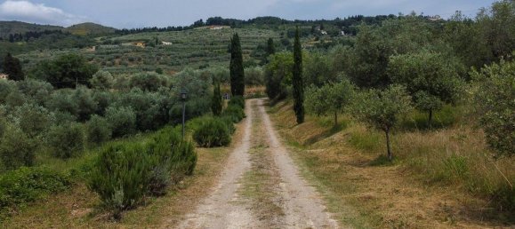 20 bedrooms Apartment in Pontassieve, Italy No. 296905 17