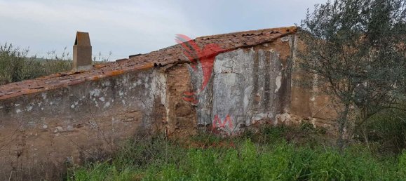 1000m² Land in Beja, Portugal No. 47889 4