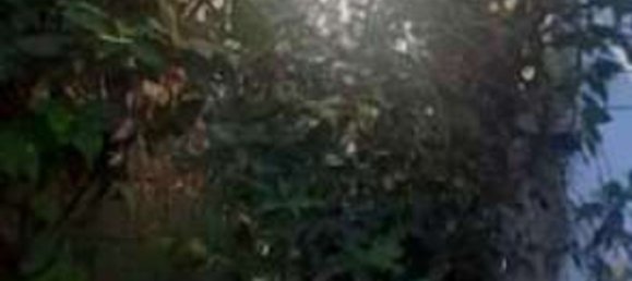 Apartamento de 5 habitaciónes en Anzio, Italy No. 191234 5