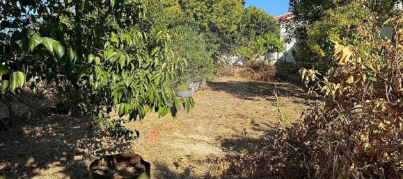 1 bedroom House in Santarem, Portugal No. 170499 19