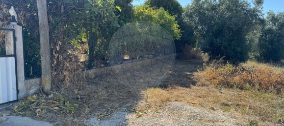 1 bedroom House in Santarem, Portugal No. 170499 12