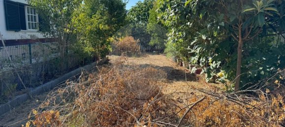 1 bedroom House in Santarem, Portugal No. 170499 13