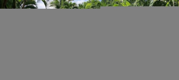 3 Schlafzimmer Haus in Surin, Thailand, Nr. 78864 23