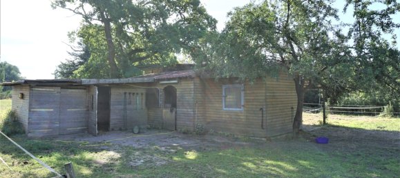 15 rooms Farm in Leer, Germany No. 171042 38