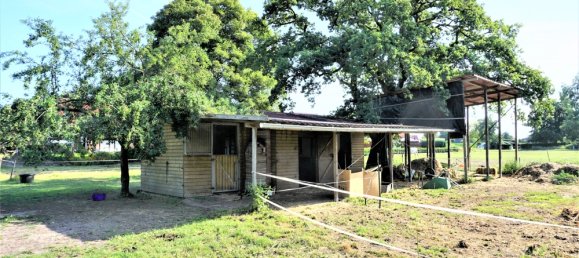 15 rooms Farm in Leer, Germany No. 171042 37