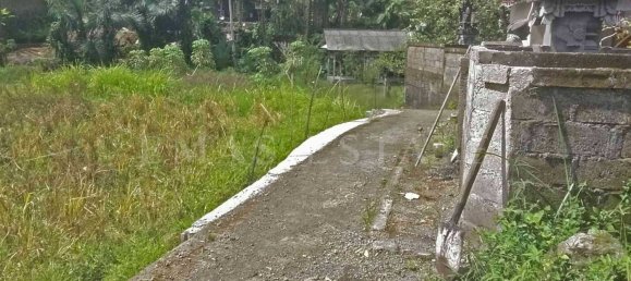  Land in Ubud, Indonesia No. 42 2