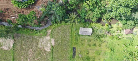  Land in Ubud, Indonesia No. 42 3
