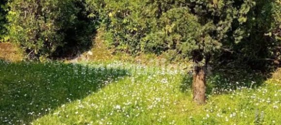 4 bedrooms Villa in Ariccia, Italy No. 295572 9