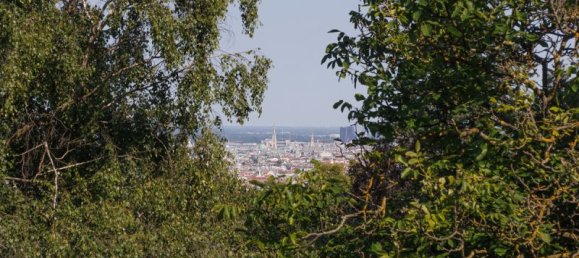 8 rooms Commercial property in Hernals, Austria No. 169263 8