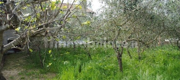 Дом с 5 спальнями в Кортона, Италия № 155706 16