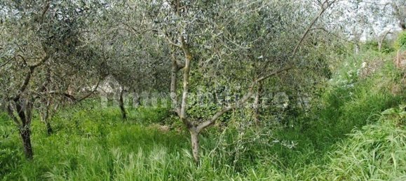 Дом с 5 спальнями в Кортона, Италия № 155706 15