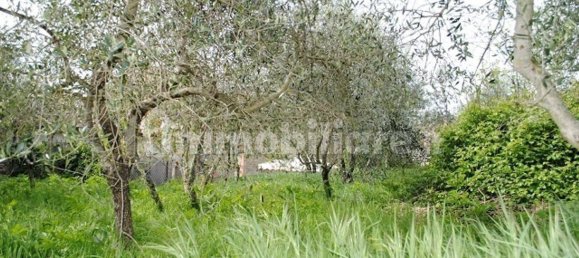 Дом с 5 спальнями в Кортона, Италия № 155706 17