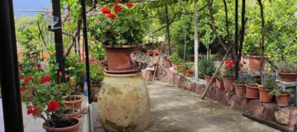 3500m² Land in Magomadas, Italy No. 270277 12