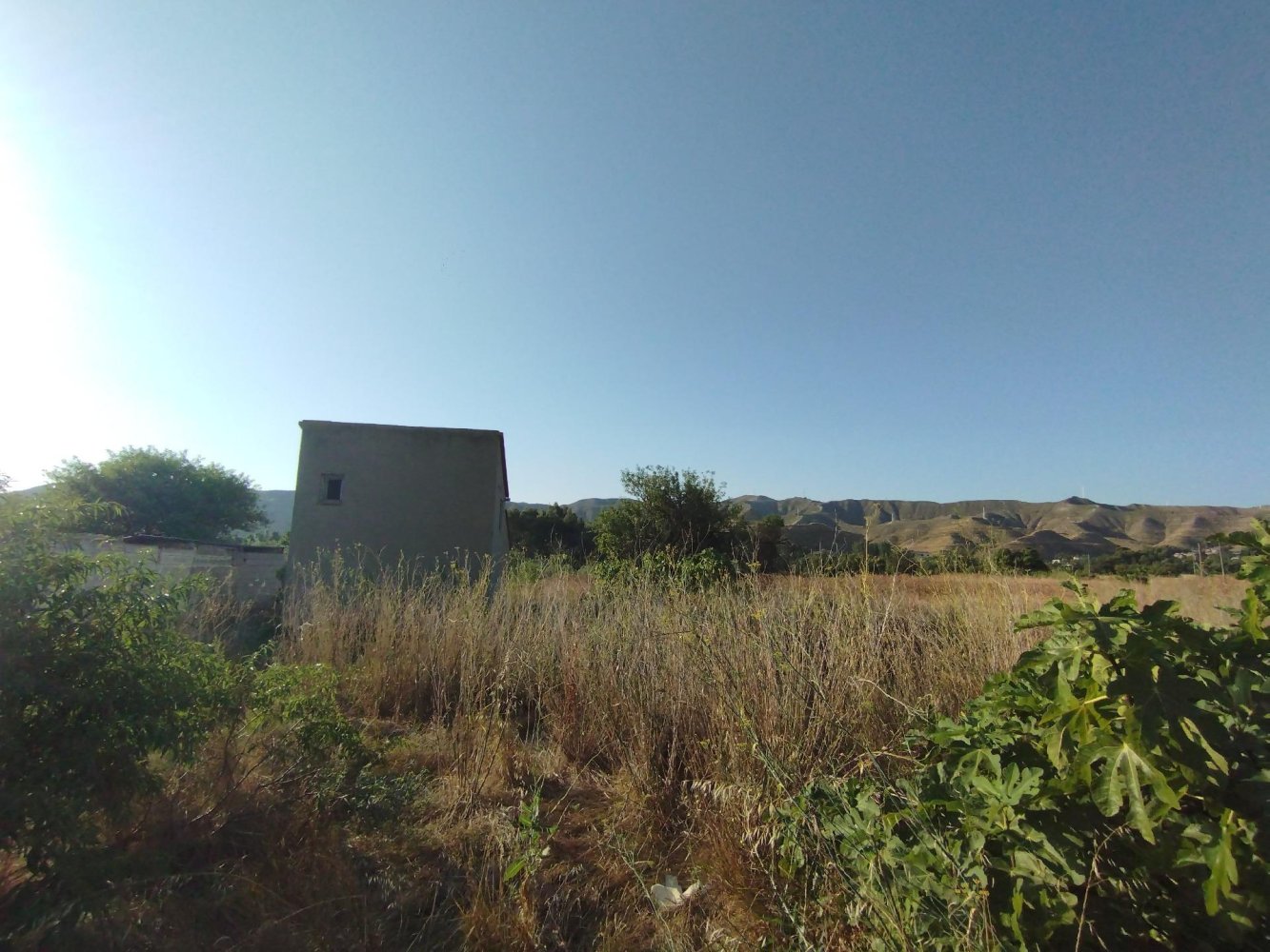  Land in Cadrete, Spain No. 204533