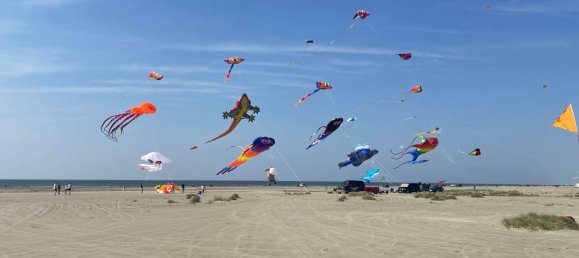 5 bedrooms Castles in Schleswig-Holstein, Germany No. 41348 22