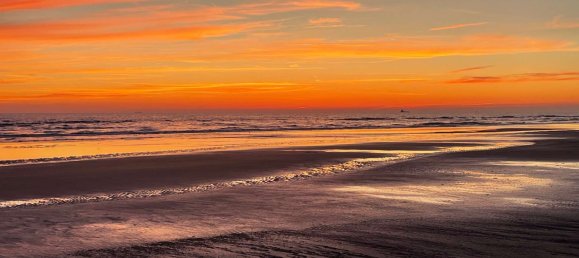 5 bedrooms Castles in Schleswig-Holstein, Germany No. 41348 7