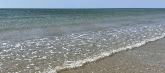 5 bedrooms Castles in Schleswig-Holstein, Germany No. 41348 6