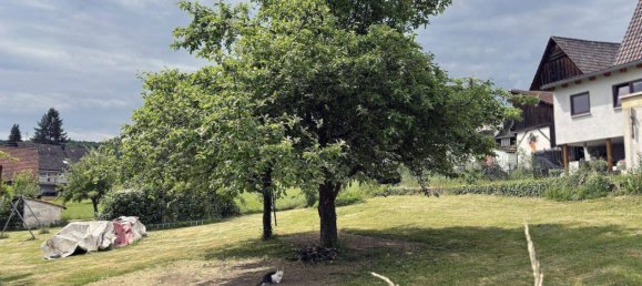  قطعة أرض في Enzkreis, Germany رقم 78555 2