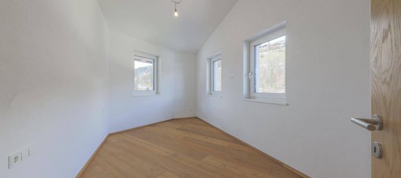 3 غرف نوم بانتهاوس في Mittersill, Austria رقم 49028 11