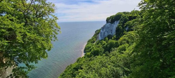  Land in Vorpommern-Rugen, Germany No. 308768 7